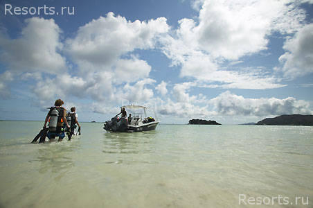 Paradise Sun Superior 34